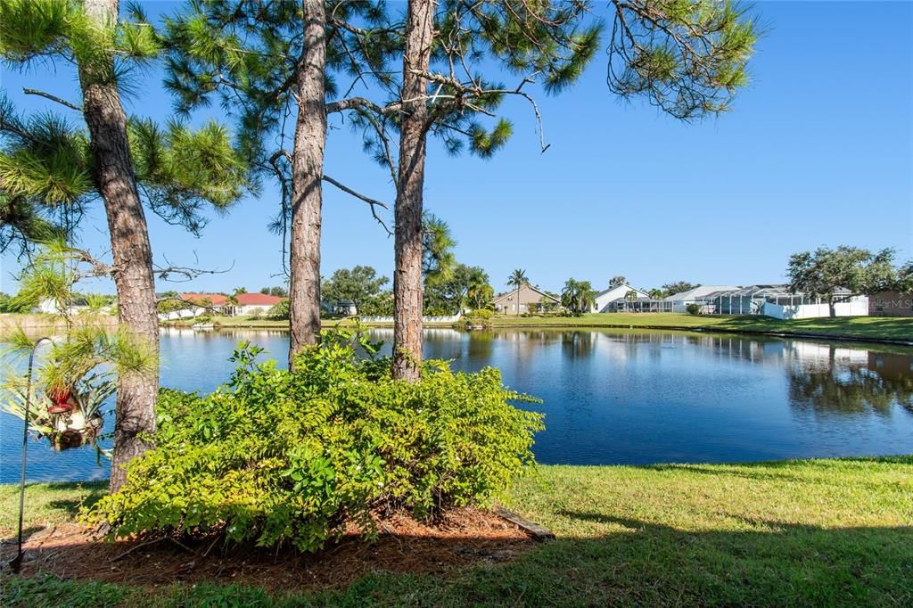 出租: $2,700 (3 贝兹, 2 浴室, 1453 平方英尺)