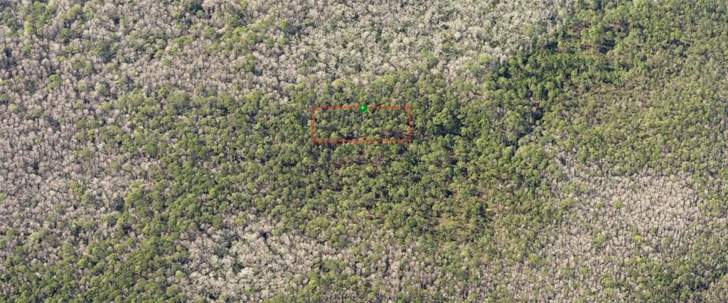 На продажу: $10,000 (1.25 acres)