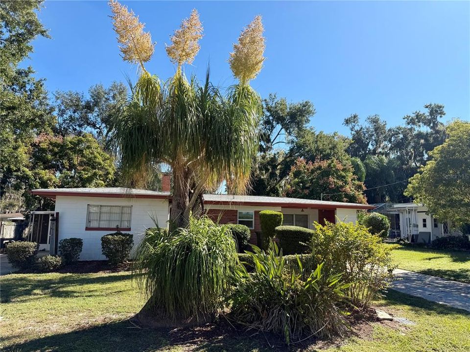 На продажу: $259,000 (3 спален, 2 ванн, 1404 Квадратных фут)