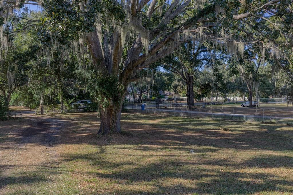 合同活跃: $285,000 (1 贝兹, 1 浴室, 996 平方英尺)