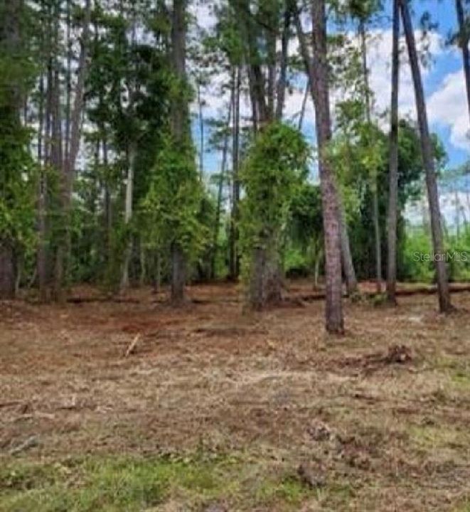 На продажу: $37,500 (0.26 acres)