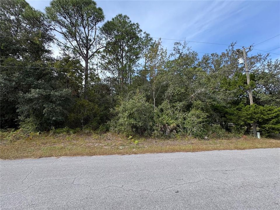 Под контрактом: $54,900 (1.29 acres)