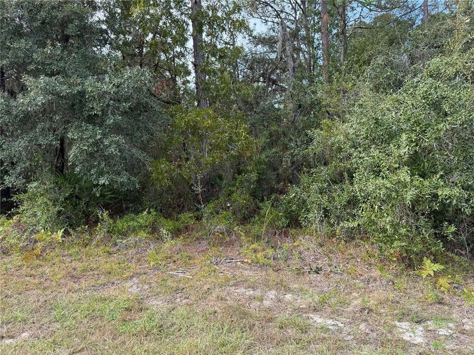 Под контрактом: $54,900 (1.29 acres)