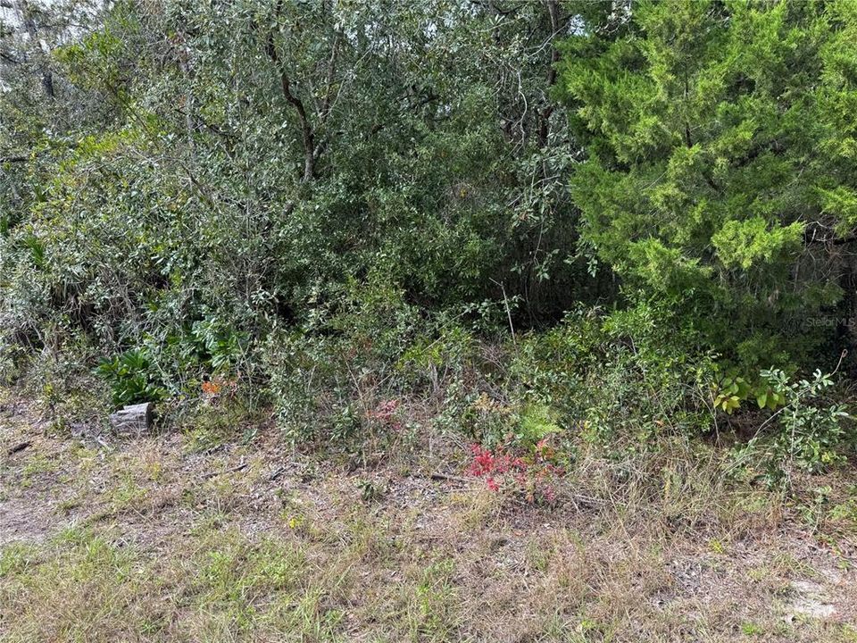 Под контрактом: $54,900 (1.29 acres)