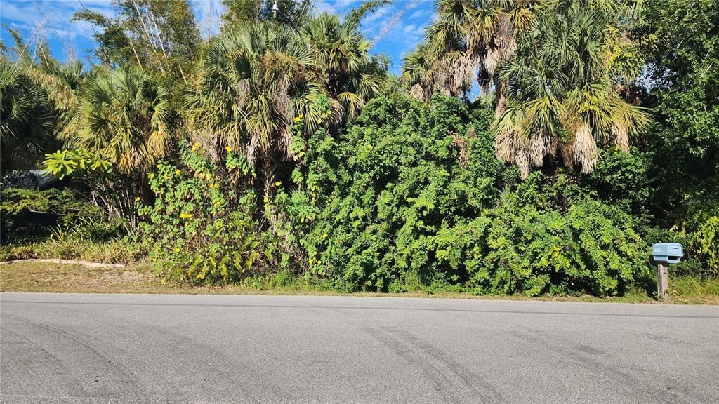 Под контрактом: $19,500 (0.23 acres)