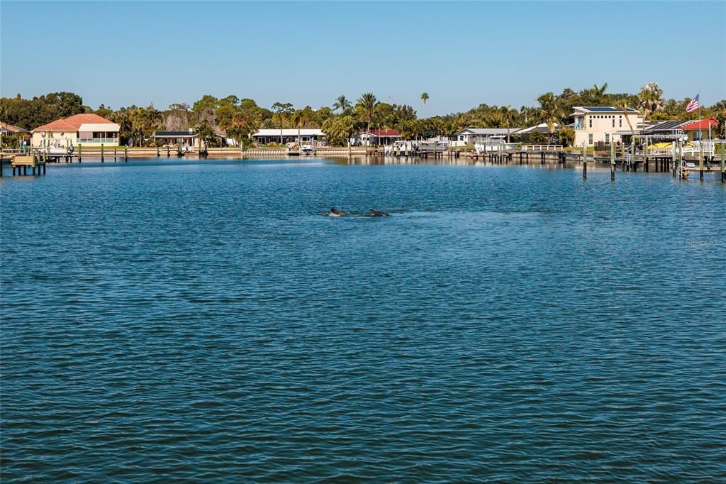 En Venta: $249,000 (2 camas, 2 baños, 1100 Pies cuadrados)