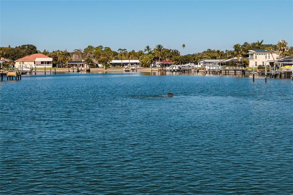 En Venta: $249,000 (2 camas, 2 baños, 1100 Pies cuadrados)