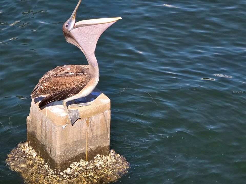 待售: $549,000 (3 贝兹, 2 浴室, 1774 平方英尺)