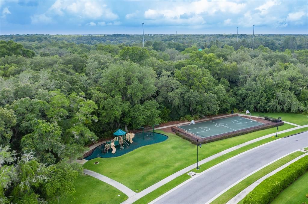 出租: $4,200 (4 贝兹, 3 浴室, 2381 平方英尺)