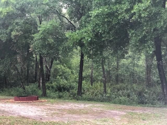 En Renta: $2,300 (3 camas, 2 baños, 1551 Pies cuadrados)