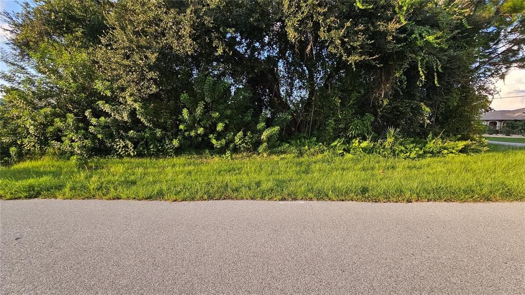 For Sale: $31,500 (0.30 acres)