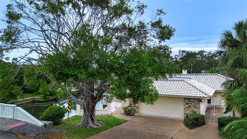 For Sale: $1,398,000 (0.36 acres)