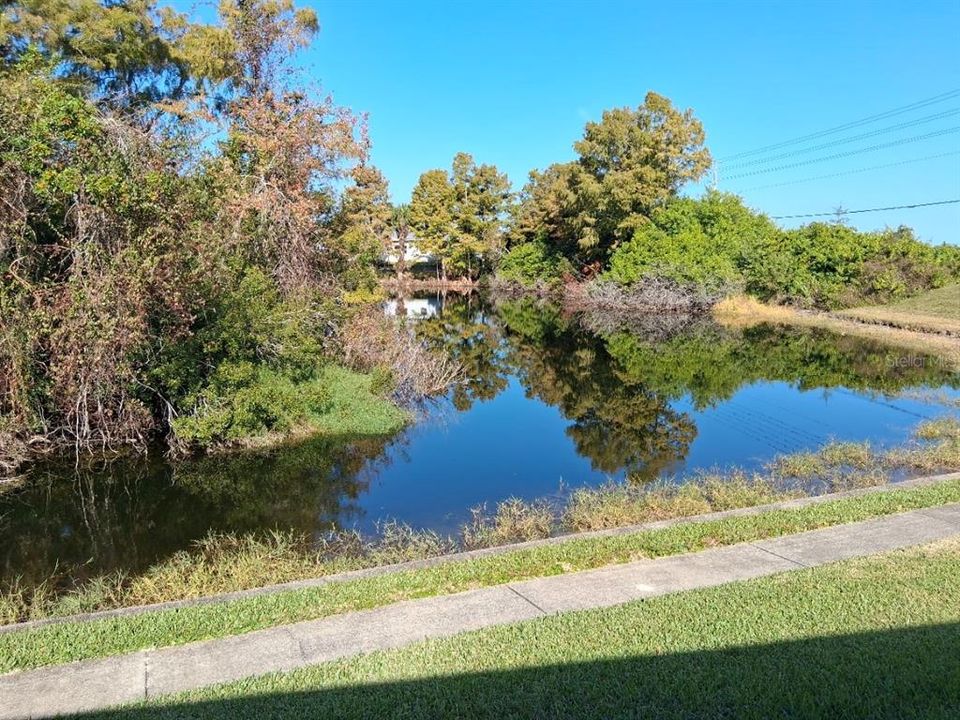 出租: $1,600 (2 贝兹, 2 浴室, 1049 平方英尺)