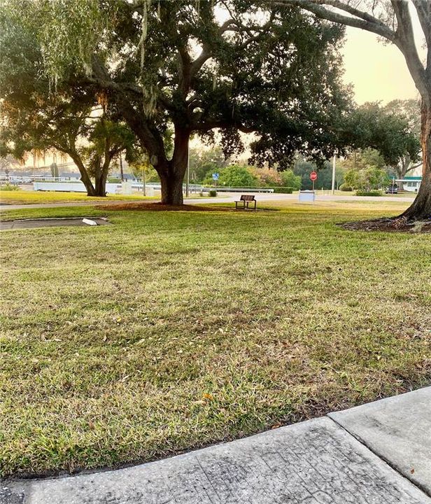 待售: $133,000 (1 贝兹, 1 浴室, 800 平方英尺)