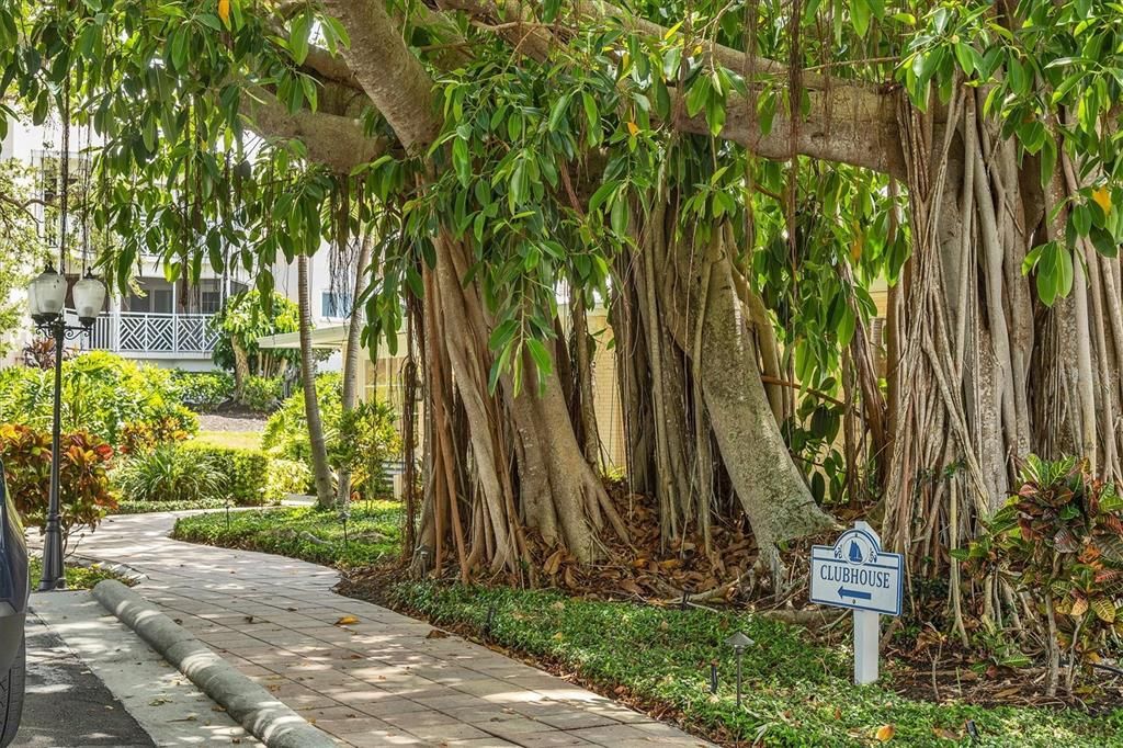 待售: $625,000 (2 贝兹, 2 浴室, 1675 平方英尺)