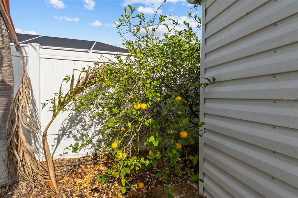 For Sale: $545,000 (3 beds, 2 baths, 1756 Square Feet)