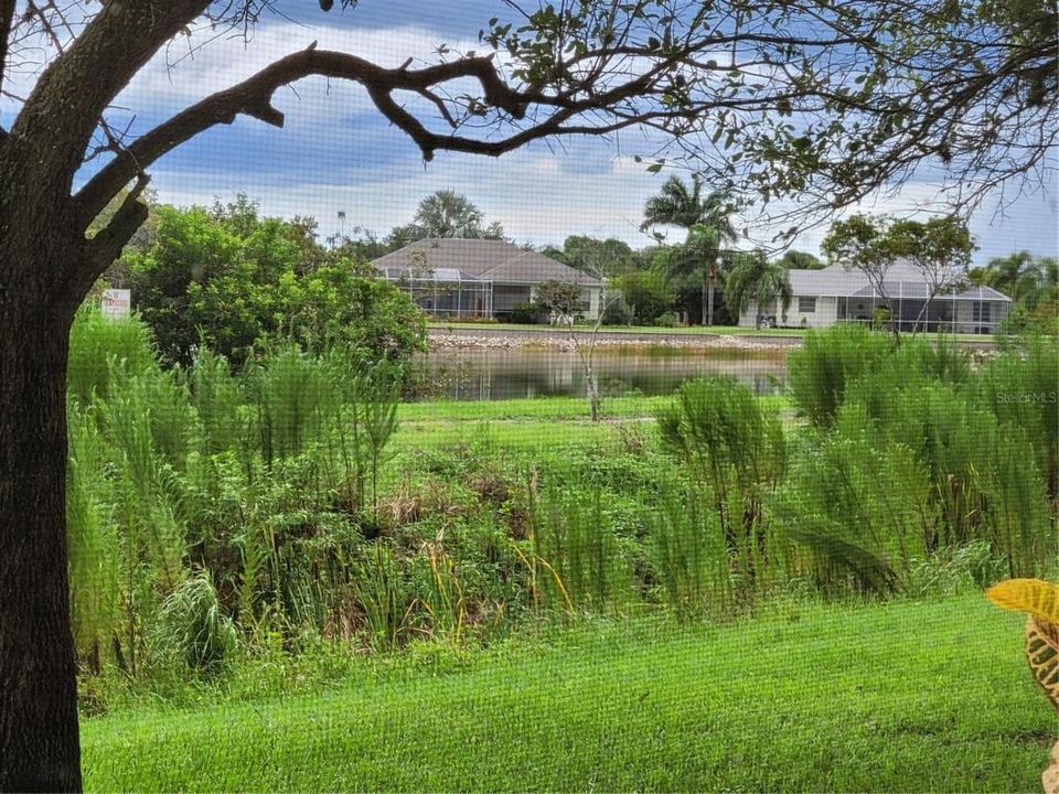 В аренду: $2,000 (3 спален, 2 ванн, 1735 Квадратных фут)