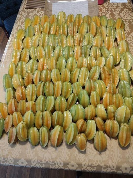 For Sale: $375,000 (4 beds, 2 baths, 1782 Square Feet)