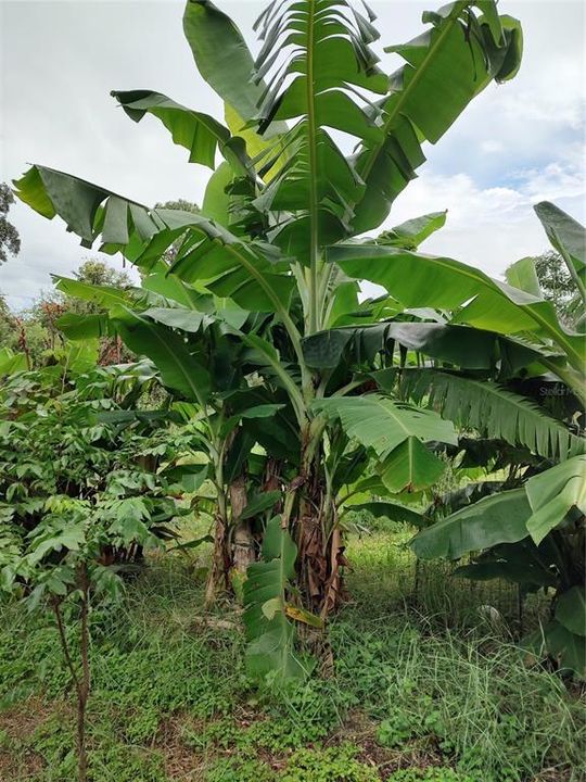 For Sale: $375,000 (4 beds, 2 baths, 1782 Square Feet)