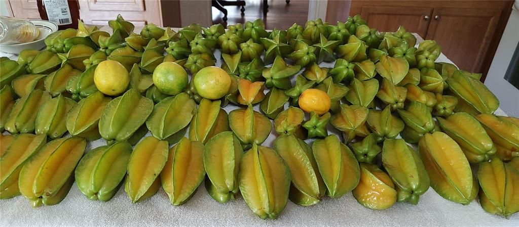 For Sale: $375,000 (4 beds, 2 baths, 1782 Square Feet)