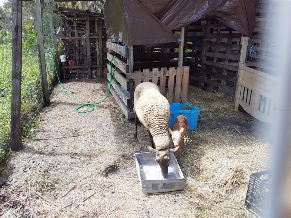 For Sale: $375,000 (4 beds, 2 baths, 1782 Square Feet)