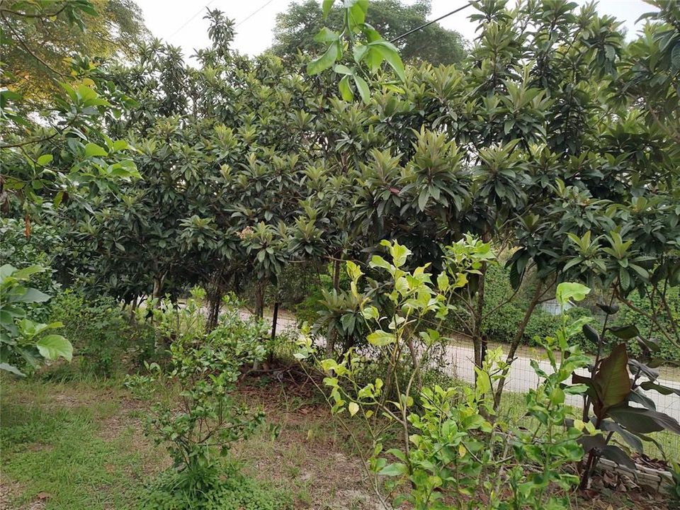 For Sale: $375,000 (4 beds, 2 baths, 1782 Square Feet)