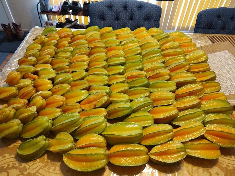 For Sale: $375,000 (4 beds, 2 baths, 1782 Square Feet)