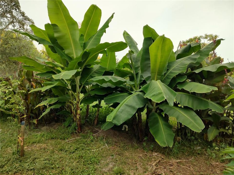 For Sale: $375,000 (4 beds, 2 baths, 1782 Square Feet)