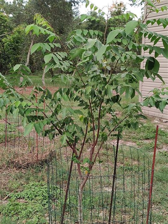 For Sale: $375,000 (4 beds, 2 baths, 1782 Square Feet)