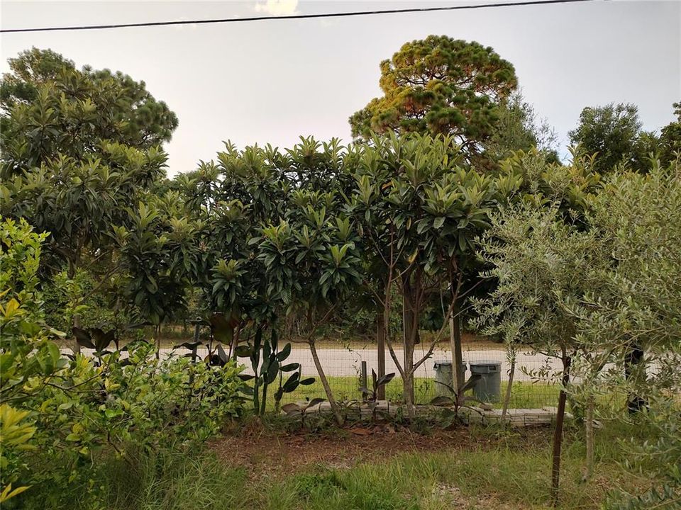 For Sale: $375,000 (4 beds, 2 baths, 1782 Square Feet)