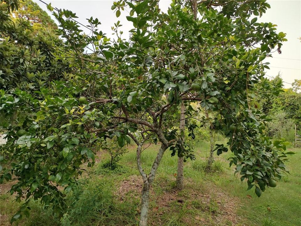 For Sale: $375,000 (4 beds, 2 baths, 1782 Square Feet)