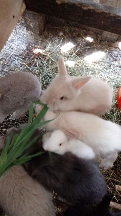 For Sale: $375,000 (4 beds, 2 baths, 1782 Square Feet)