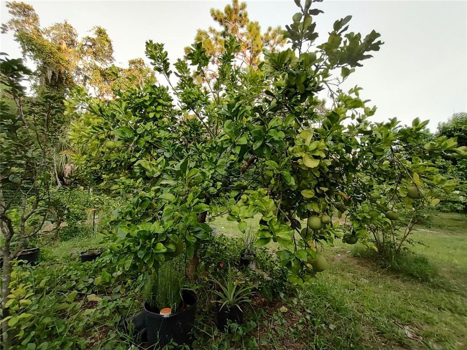 For Sale: $375,000 (4 beds, 2 baths, 1782 Square Feet)