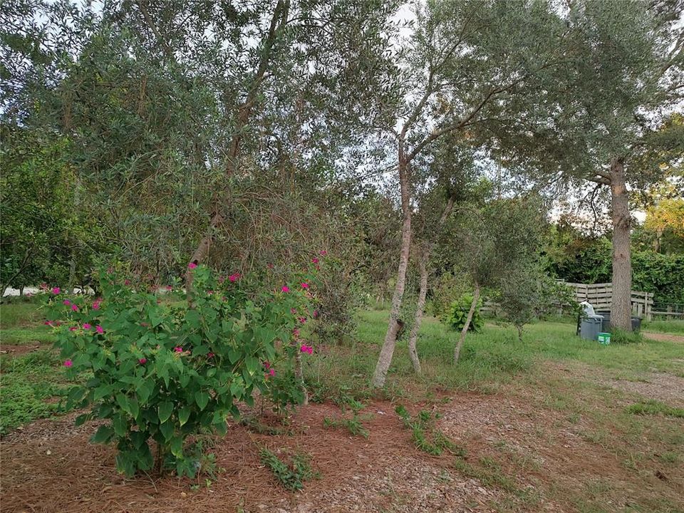 For Sale: $375,000 (4 beds, 2 baths, 1782 Square Feet)