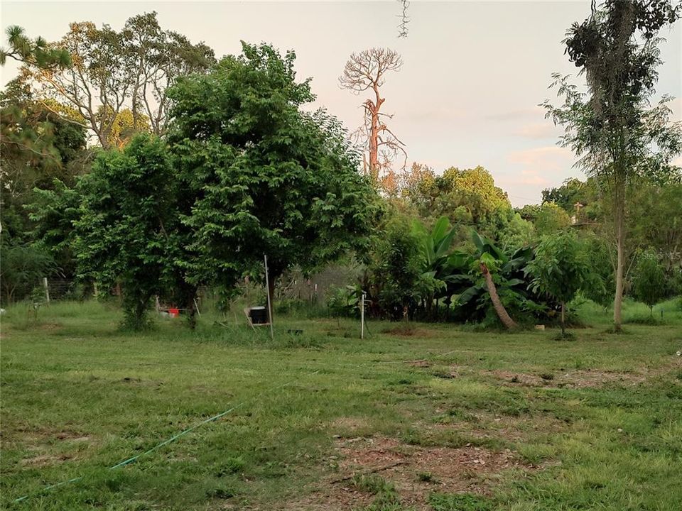 For Sale: $375,000 (4 beds, 2 baths, 1782 Square Feet)