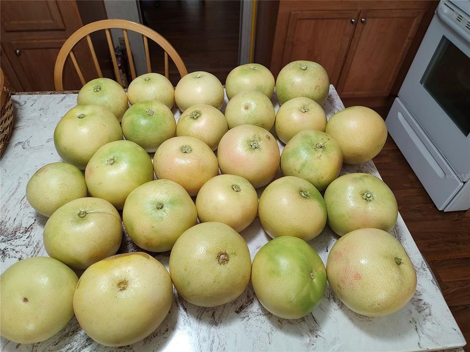 For Sale: $375,000 (4 beds, 2 baths, 1782 Square Feet)