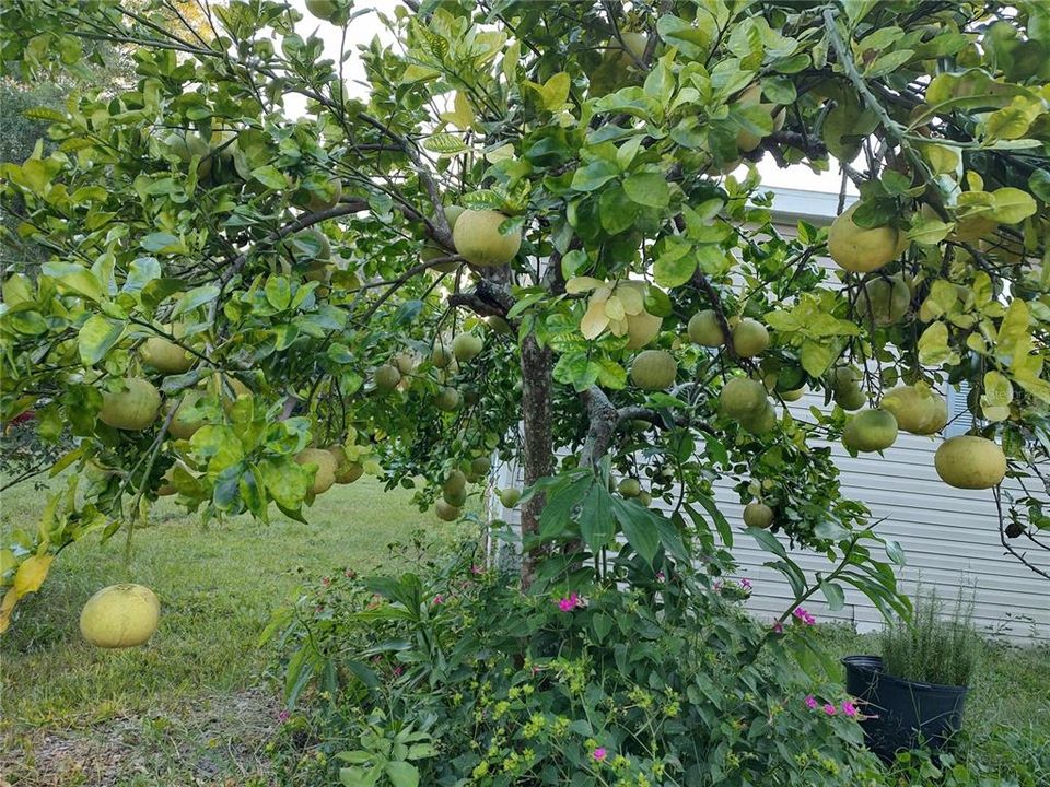 For Sale: $375,000 (4 beds, 2 baths, 1782 Square Feet)