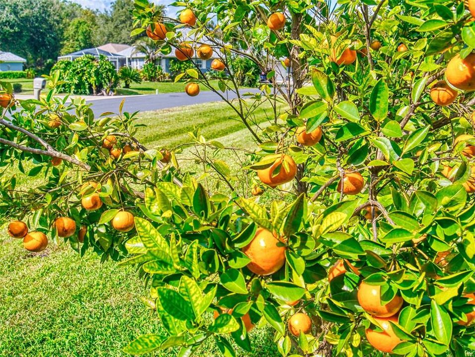 For Sale: $274,900 (3 beds, 2 baths, 1462 Square Feet)