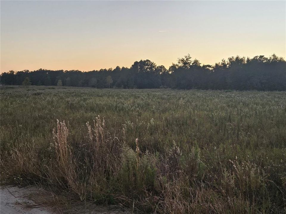 En Venta: $39,000 (0.46 acres)