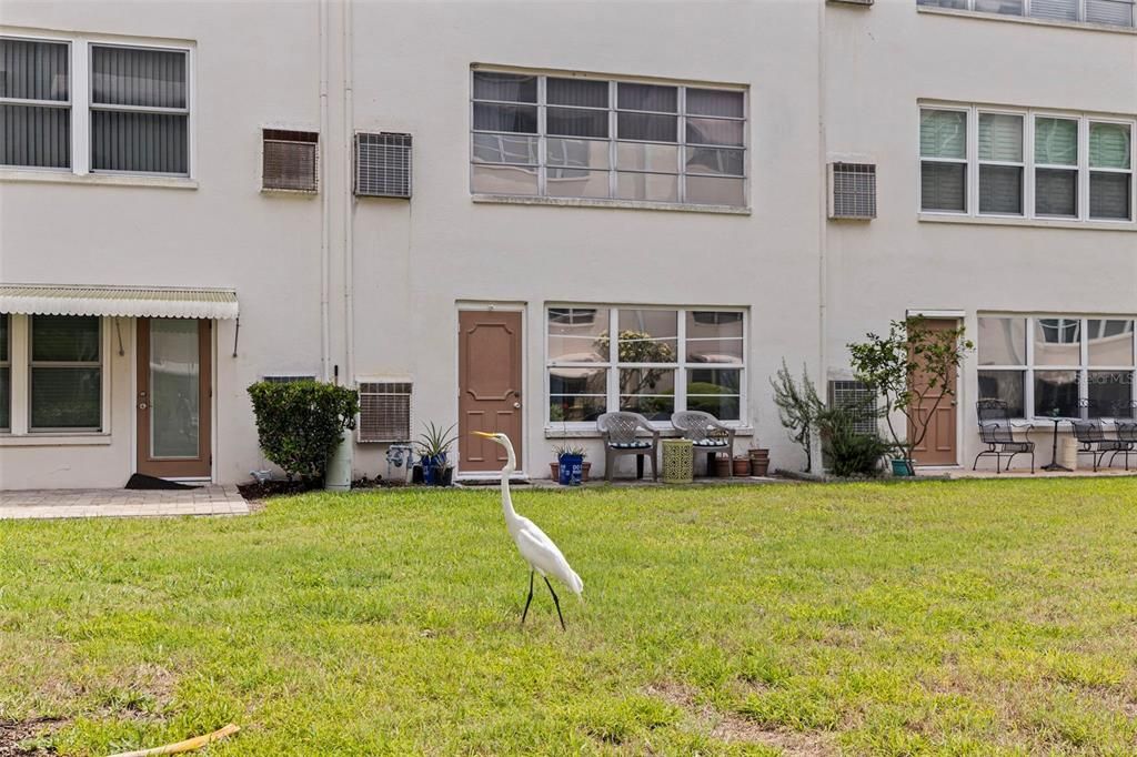 待售: $119,000 (1 贝兹, 1 浴室, 870 平方英尺)