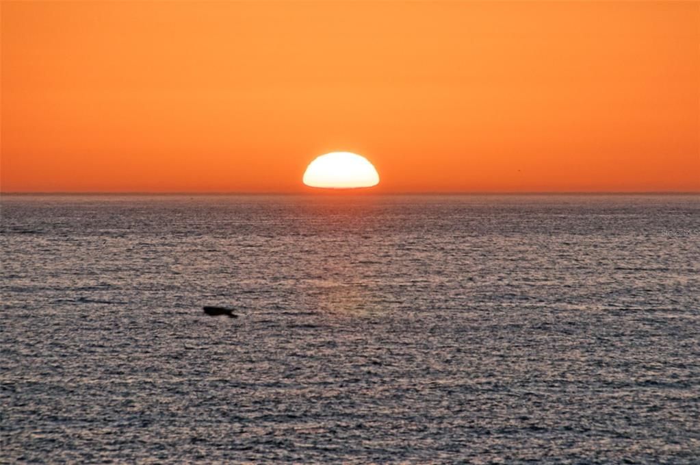 На продажу: $119,000 (2 спален, 1 ванн, 1114 Квадратных фут)