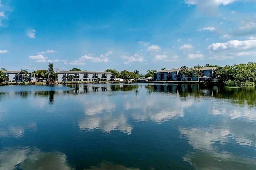 出租: $1,600 (1 贝兹, 1 浴室, 630 平方英尺)