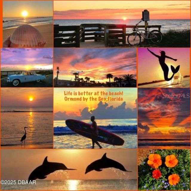 For Sale: $534,500 (3 beds, 2 baths, 1821 Square Feet)