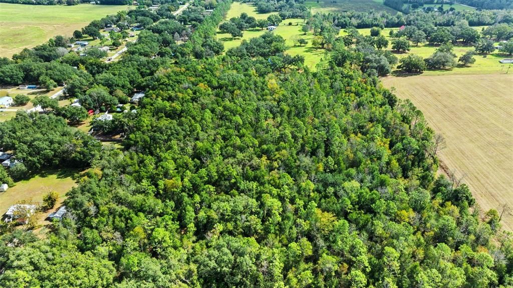 En Venta: $299,000 (5.00 acres)