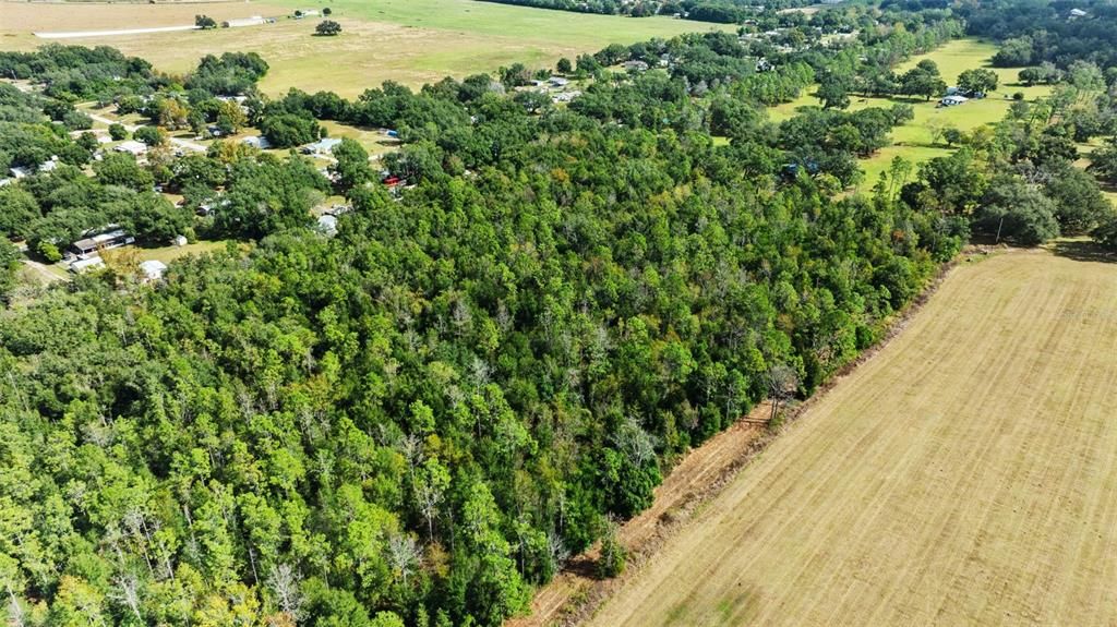 En Venta: $299,000 (5.00 acres)