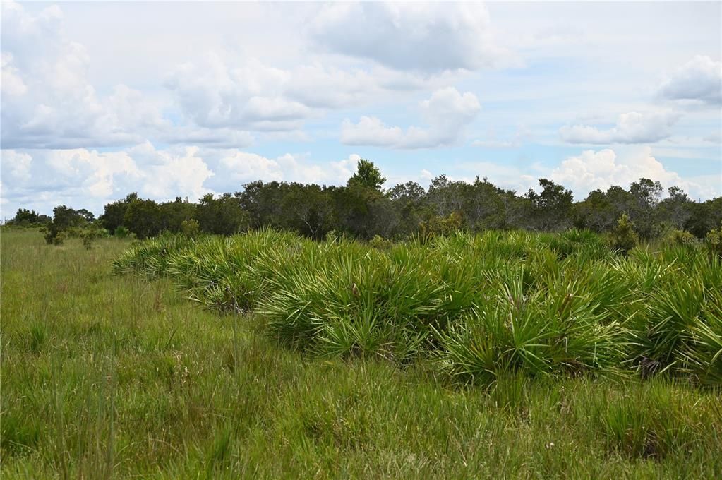 En Venta: $484,000 (40.11 acres)