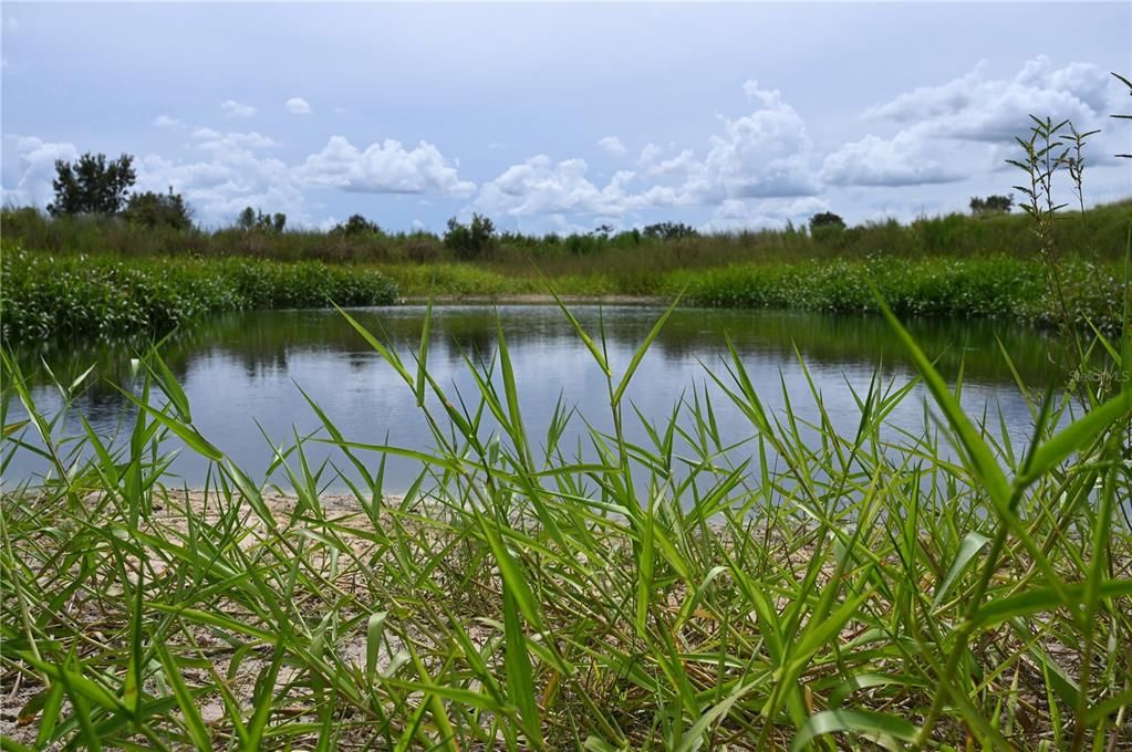 En Venta: $484,000 (40.11 acres)