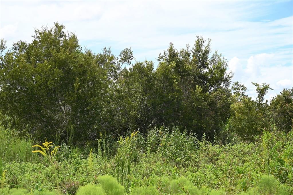 En Venta: $484,000 (40.11 acres)