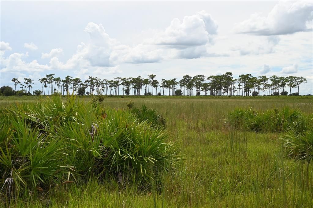 En Venta: $484,000 (40.11 acres)