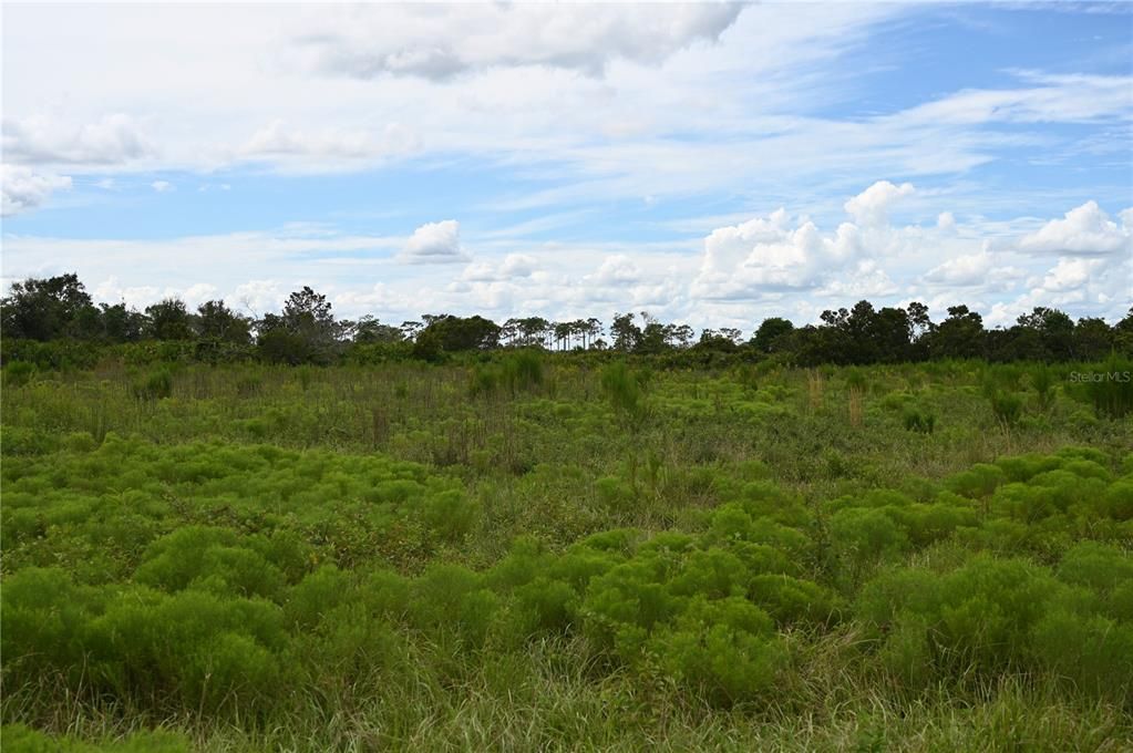 En Venta: $484,000 (40.11 acres)